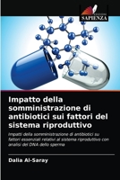 Impatto della somministrazione di antibiotici sui fattori del sistema riproduttivo 6203675911 Book Cover