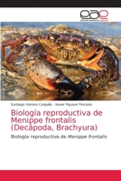 Biología reproductiva de Menippe frontalis (Decápoda, Brachyura): Biología reproductiva de Menippe frontalis 6203033901 Book Cover