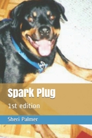 Spark Plug: 1st edition 1702387283 Book Cover