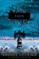 Torn 1250046777 Book Cover
