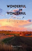 Wonderful Lives or Wonderful People?: Discerning Divine Purpose for Mortal Adversity and Suffering B0GM3VRZ67 Book Cover