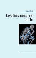 Les fins mots de la fin (BOOKS ON DEMAND) (French Edition) 2322201707 Book Cover