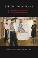 Birthing a Slave: Motherhood and Medicine in the Antebellum South 0674034929 Book Cover