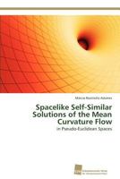 Spacelike Self-Similar Solutions of the Mean Curvature Flow 3838134974 Book Cover