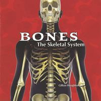 Bones: The Skeletal System (Body Works) 140423473X Book Cover