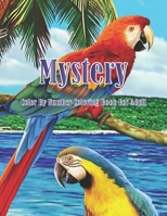 Mystery Color By Number Coloring Book For Adult: 50 pages original designs, An Adult Coloring Book with Fun, Easy & hard Relaxing Coloring Pages, ... Coloring Book B093RMYG3X Book Cover
