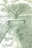 What Goes Up 1629022586 Book Cover