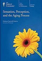 Sensation, Perception, and the Aging Process 1598032291 Book Cover