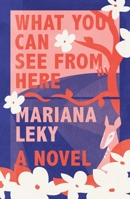What You Can See from Here: A Novel 1250849160 Book Cover