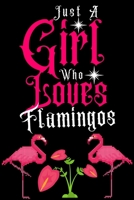 Just a Girl Who loves Flamingos: Journal for Flamingos Lover Girls(6”x9”) With Lined and Blank  110 Pages, Perfect for Journal, and Notes. 1670252744 Book Cover