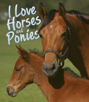 I love Horses and Ponies 1435155351 Book Cover
