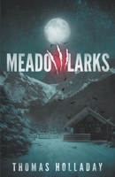 Meadowlarks 1736914006 Book Cover