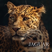 Jaguar Calendar 2020: 16 Month Calendar 1707919631 Book Cover