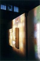 Rachel Whiteread: Transient Spaces 0810969343 Book Cover