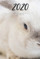 2020 Weekly & Monthly Planner: Rabbit – 6X9 Size – Glossy Soft Cover - Multi-Purpose: Organizer/Calendar/Notebook/Agenda/Diary/Journal. (Animals Themed Planners) 1678945145 Book Cover