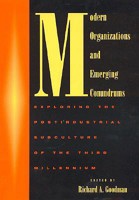 Modern Organizations and Emerging Conundrums 0739100017 Book Cover