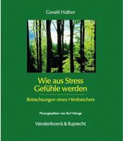 Wie Aus Stress Gefuhle Werden: Betrachtungen Eines Hirnforschers 352545838X Book Cover
