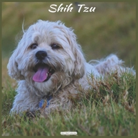 Shih Tzu 2021 Wall Calendar: Official Shih Tzu Dogs 18 months 2021 Calendar B08RH7J8JN Book Cover
