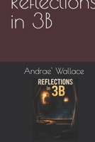 Reflections in 3B B0GQTY4493 Book Cover