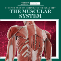 The Muscular System (Scientific American Investigates the Human Body) 1725351420 Book Cover