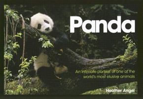 Panda: An Intimate Portrait Of One Of The World'S Most Elusive Characters 0715328522 Book Cover