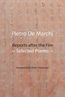 Reports after the Fire: Selected Poems 1848617984 Book Cover