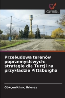 Przebudowa terenów poprzemyslowych: strategie dla Turcji na przykladzie Pittsburgha (Polish Edition) 6209697747 Book Cover