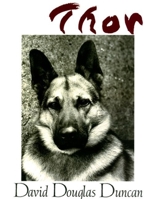 Mad Ducks and Bears 0316326445 Book Cover