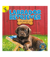 Labrador Retriever Puppies 1731628595 Book Cover