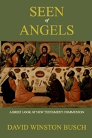 Seen of Angels 1034228838 Book Cover