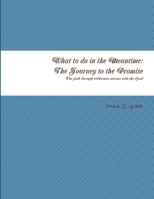 What to do in the Meantime: The Journey to God's Promises 1387861360 Book Cover