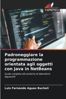 Padroneggiare la programmazione orientata agli oggetti con Java in NetBeans (Italian Edition) 6208246547 Book Cover