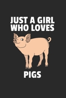 Schwein Notizbuch: Schwein Notizbuch f�r Liebhaber / Notizheft / Notizblock A5 (6x9in) Dotted Notebook / Punkteraster / 120 gepunktete Seiten 1673757677 Book Cover