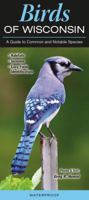 Birds of Wisconsin: A Guide to Common and Notable Species 1943334676 Book Cover