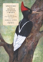 Adventures of an Amateur Naturalist in Mexico: The Imperial Ivory-billed Woodpecker, Revisited 0991450396 Book Cover