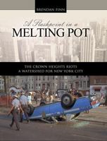 Flashpoint Melting Pot 0757598404 Book Cover