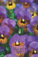 Password Notebook: Large Print Internet Password Book with Tabs |Pocket Size Password Organizer |110 pages Alphabetically Arranged Password Keeper | ... Taking | 6x9 inches | Purple White Floral B084DMPZ5M Book Cover