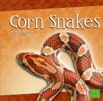 Corn Snakes (First Facts) 1429622725 Book Cover