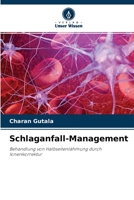 Schlaganfall-Management: Behandlung von Halbseitenlähmung durch Ionenkorrektur 6204129899 Book Cover