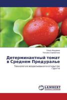 Determinantnyy tomat v Srednem Predural'e: Tekhnologiya vozdelyvaniya v otkrytom grunte 384843475X Book Cover