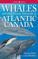 Whales and Other Marine Mammals of the East Coast 9766500525 Book Cover