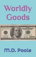 Worldly Goods: a novel B0C87DV44B Book Cover