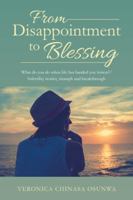 From Disappointment to Blessing: What Do You Do When Life Has Handed You Lemon?/ Infertility Stories, Triumph and Breakthrough 1504308581 Book Cover