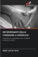 DETERMINANTI DELLA CONSEGNA A DOMICILIO: Analisi basata su una popolazione sotto sorveglianza demografica e sanitaria 6207634063 Book Cover