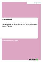 Bergst�rze in den Alpen: mit Beispielen aus dem �tztal 3656333041 Book Cover