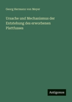 Ursache und Mechanismus der Entstehung des erworbenen Plattfusses (German Edition) 3388888922 Book Cover