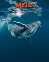 Whales: Beautiful Pictures & Interesting Facts Children Book About Whales B08M7J3VT3 Book Cover