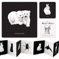 Baby's Black and White Contrast Book: High-Contrast Art for Visual Stimulation at Tummy Time 1941325971 Book Cover
