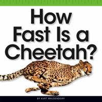 How Fast Is a Cheetah? 1503816788 Book Cover