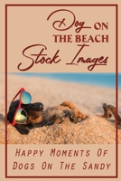 Dog On The Beach Stock Images: Happy Moments Of Dogs On The Sandy: Dogs On The Beach B09DF57KN8 Book Cover